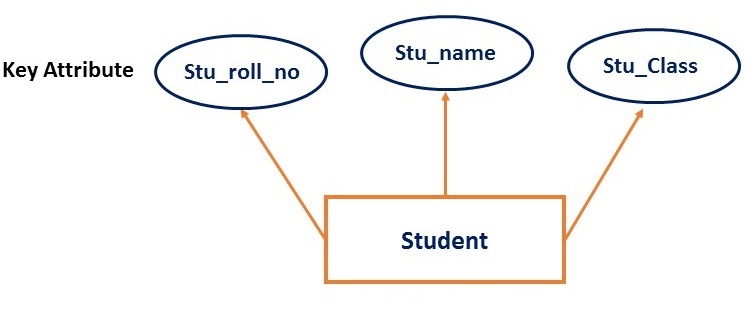 What is ER Model in DBMS?