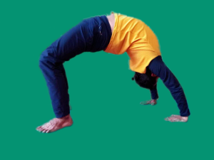 Yogic Postures or Asanas