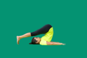 Yogic Postures or Asanas